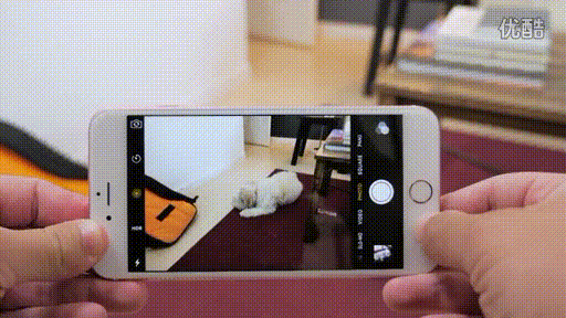 一张live photo会记录按下快门前后1.5秒内的声像.