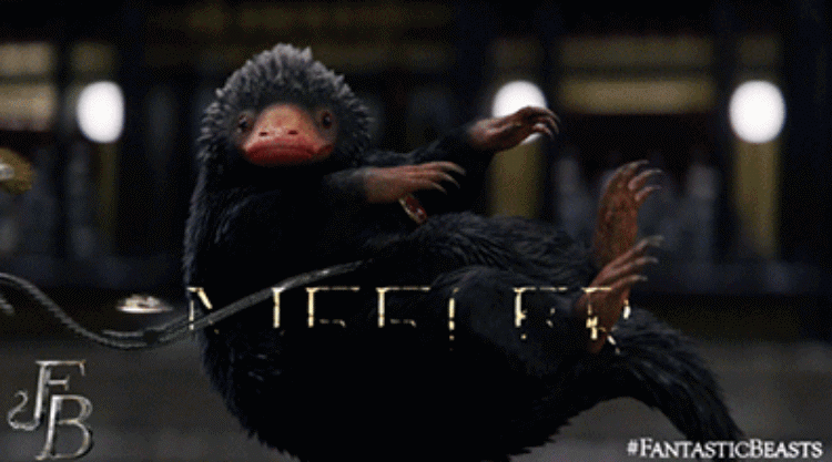 最新热点:掉进钱眼里拽不出的神兽,不只嗅嗅